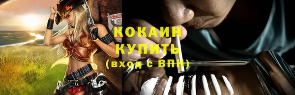 твердый Алексеевка