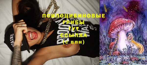 твердый Алексеевка