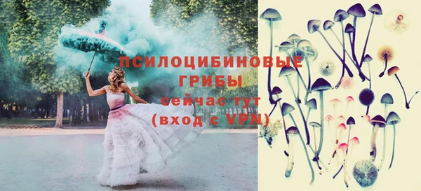 Альфа ПВП Алексин