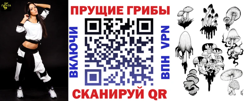 mega рабочий сайт Саров Псилоцибиновые грибы MAGIC MUSHROOMS